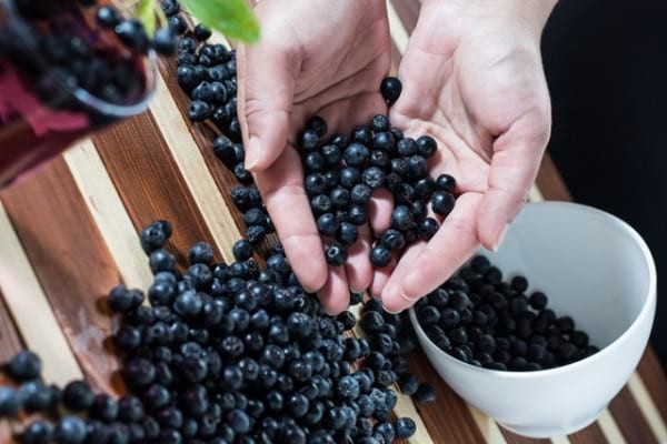 Aronia - ce beneficii și proprietăți are acest fruct
