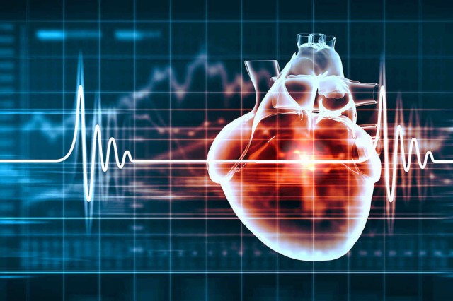 Bolile cardiovasculare, responsabile de o treime dintre decesele la nivel mondial