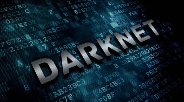 Cea mai mare platformă de vânzări de pe DarkNet a fost dezmembrată, anunţă parchetul din Koblenz