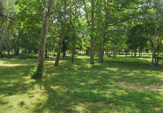 Primăria VREA să AMENAJEZE un PARC în zona PESCĂRIE