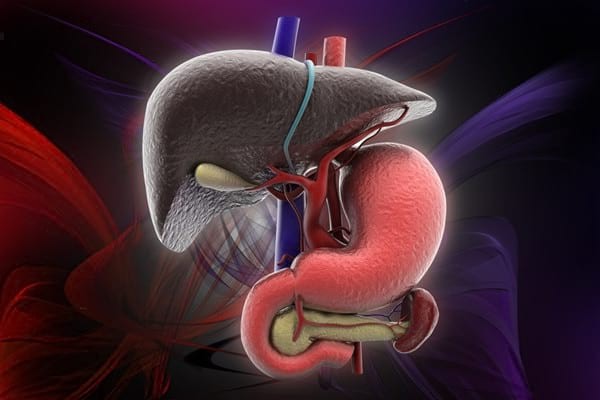 Steatoza hepatică sau ficatul gras