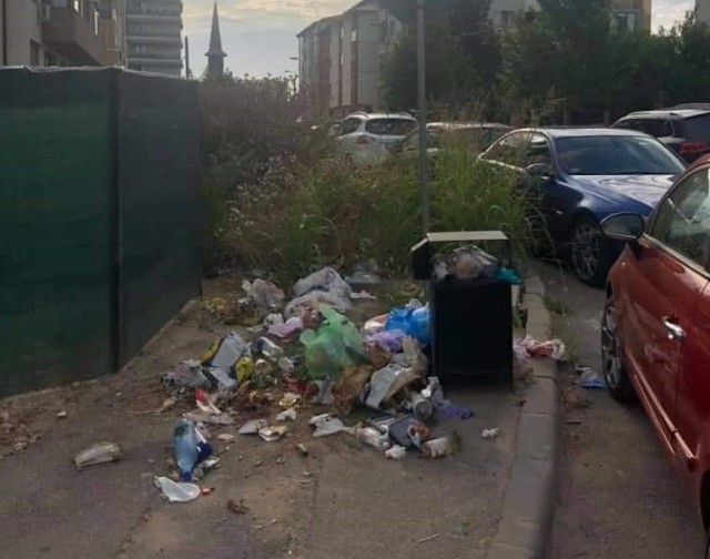 SUPĂRARE mare în cartierul COMPOZITORI, din cauza MORMANELOR de GUNOI