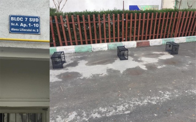 LUPTE GRELE pentru LOCURILE de PARCARE, la Năvodari