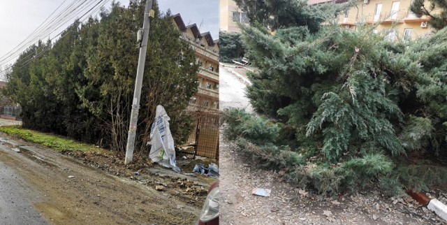 Costinești, stațiunea TINERETULUI și a NEPĂSĂRII