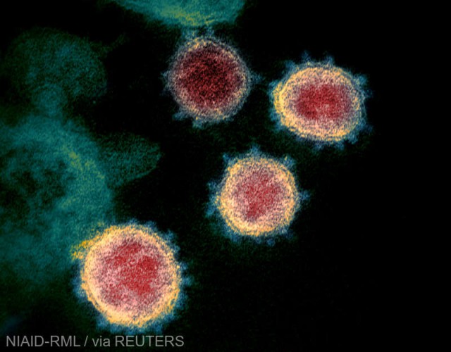 Varianta britanică a coronavirusului ar putea deveni dominantă în Europa în lunile următoare