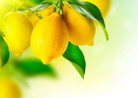 10 puteri miraculoase ale lămâilor