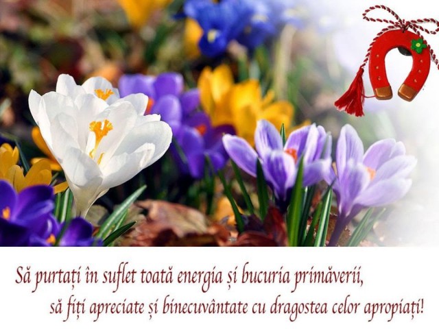 Primăria Agigea, mesaj de 1 Martie pentru cetățeni