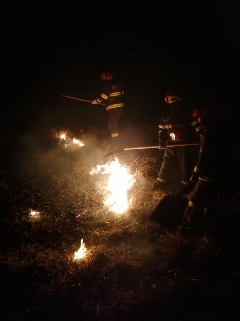 INCENDIU, izbucnit într-o localitate din Tulcea