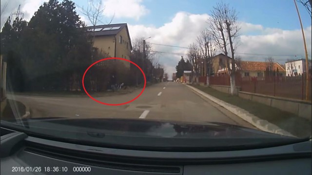 Copilă SALVATĂ, în ULTIMUL MOMENT, din COLȚII câinilor maidanezi de un ȘOFER. VIDEO