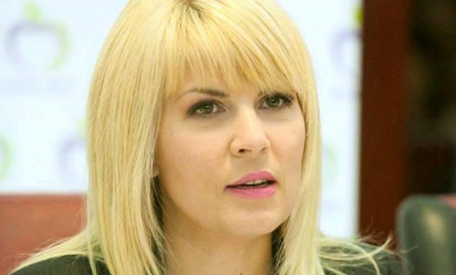 Elena Udrea, declarații la Curtea de Apel: 'În continuare sunt o țintă'