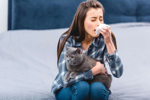 Alergia la pisici: o nouă metodă de tratament