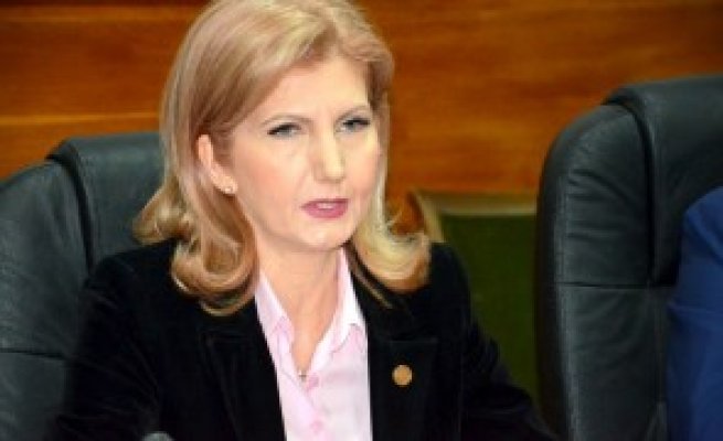 Cristina Elena Dinu