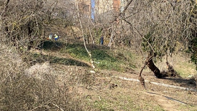Primăria Constanța igienizează taluzul în dreptul plajei Modern