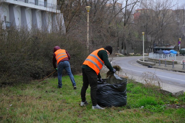 Amplă acțiune de igienizare a spațiilor verzi în perimetrul delimitat de Portul Tomis și plaja Modern