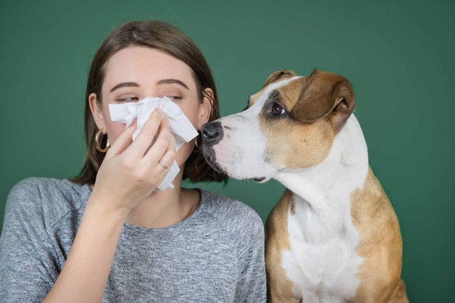 Alergia la câini și pisici: ce e bine să știi?