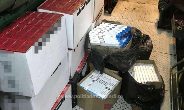 Peste 9.000 de PACHETE de ŢIGĂRI de contrabandă, depistate la bordul unei nave în Portul Constanța VIDEO