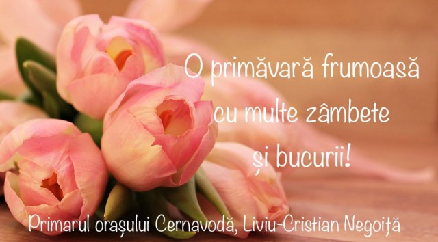 Primarul din Cernavodă, mesaj cu ocazia zilei de 1 Martie