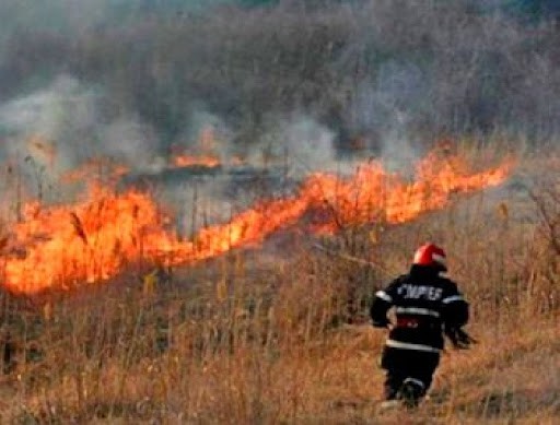 Recomandările POMPIERILOR privind INCENDIILE de VEGETAȚIE