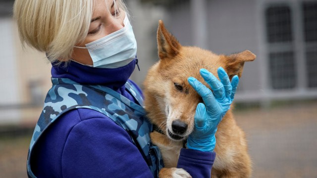Coronavirus: Rusia a înregistrat primul vaccin anti-COVID-19 din lume pentru animale