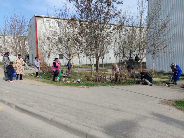 RAEDPP Constanța: 30 de voluntari din Henri Coandă au participat la o acțiune civică de curățenie stradală