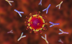 Oamenii de știință au găsit un anticorp care protejează împotriva tulpinilor Covid