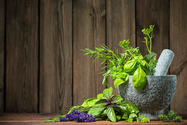 Plantele aromatice, utile pentru tranzit intestinal și digestie