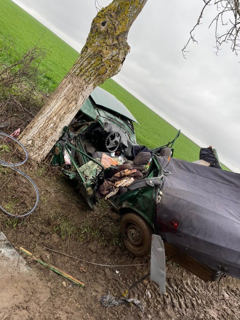Accident rutier MORTAL pe DN 22A: o MAȘINĂ a intrat în coliziune cu un COPAC