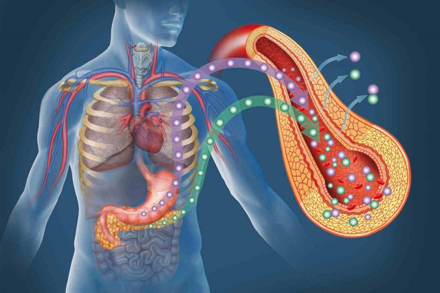 Diabetul de tip 1: relația dintre răspunsul la interferon și infecțiile virale