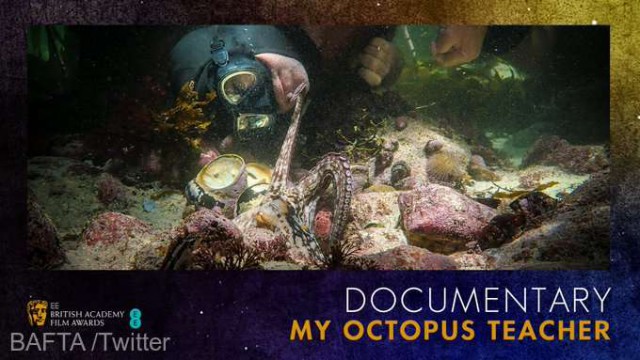 BAFTA 2021: „My Octopus Teacher“, desemnat cel mai bun documentar