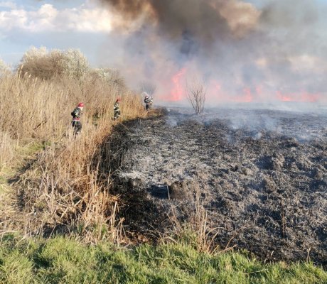 Incendiu în apropierea localității Garvăn din județul Tulcea. VIDEO