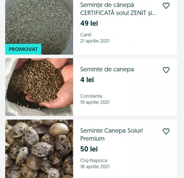 Semințe de CANABIS, la VÂNZARE pe INTERNET