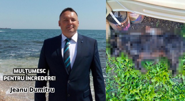 Locuitorii din Costinești OTRĂVESC pisicile și CÂINII cu ANTIGEL