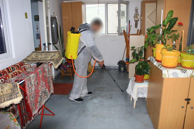 Primăria Constanța continuă ACȚIUNILE de dezinsecție în gospodăriile cetățenilor