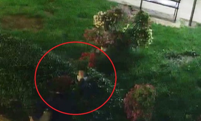 MINORI prinși la FURAT de LALELE, în Parcul TOMIS II