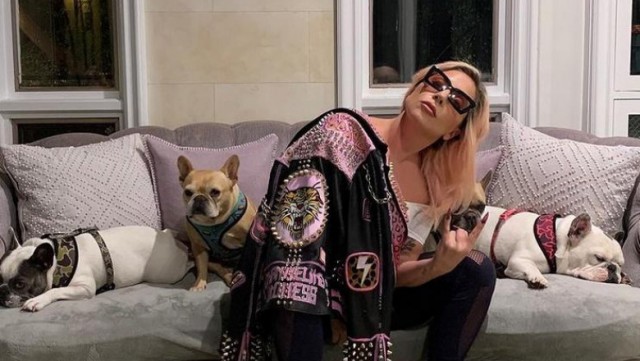 Cinci persoane arestate în cazul răpirii câinilor lui Lady Gaga
