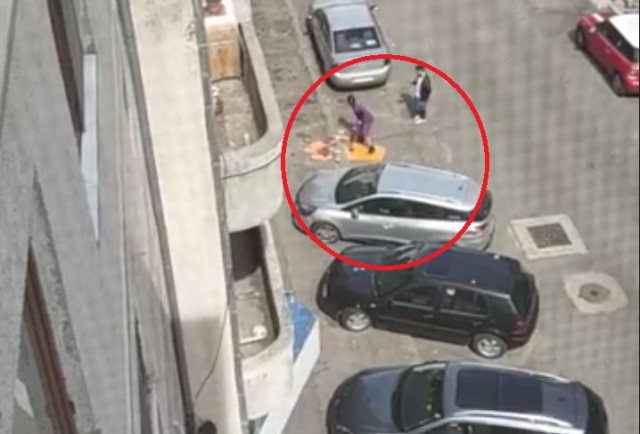 PĂDURARI URBANI, pe Ștefan cel Mare: Au TĂIAT LEMNE în faţa BLOCULUI! Video