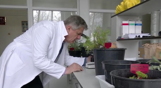 Situație actualizată la nivelul județului Constanța, privind noul coronavirus