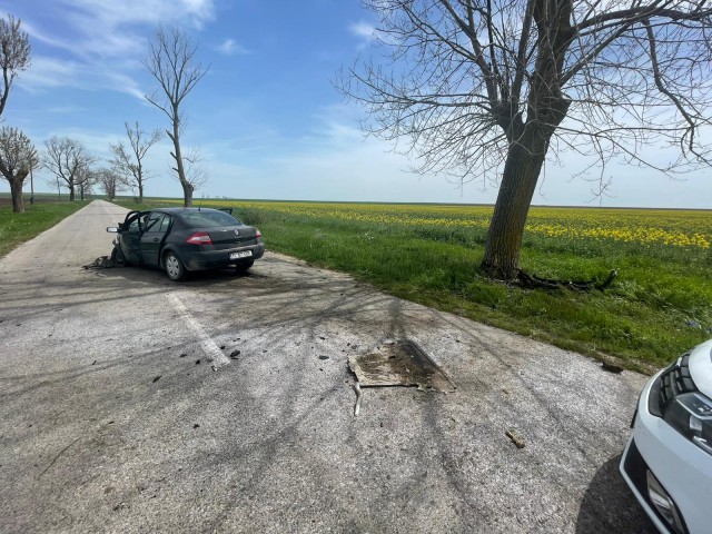 Accident rutier pe DJ222E: A intrat cu MAȘINA în COPAC