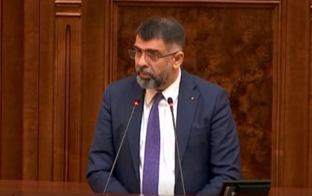 Senat: Discuţie în plen despre bicameralismul parlamentar între Anca Dragu şi Robert Cazanciuc