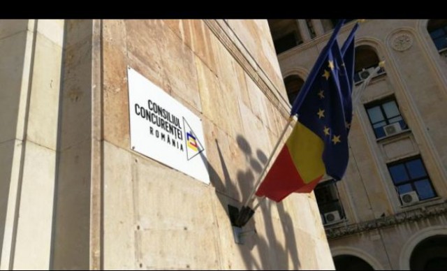 Consiliul Concurenţei a sancţionat Delgaz Grid din grupul E.ON pentru abuz de poziţie dominantă