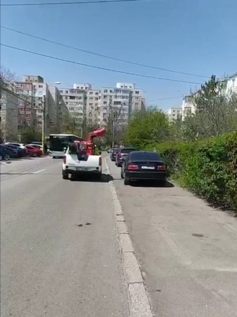 Primăria Constanța a demarat acțiunile de dezinsecție