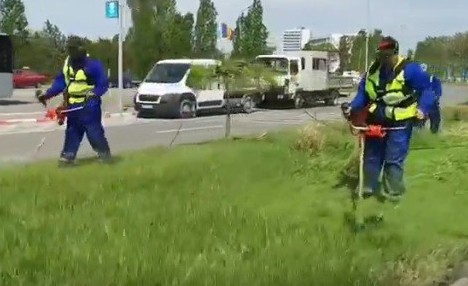 A început IGIENIZAREA spațiilor verzi din Constanța. VIDEO!