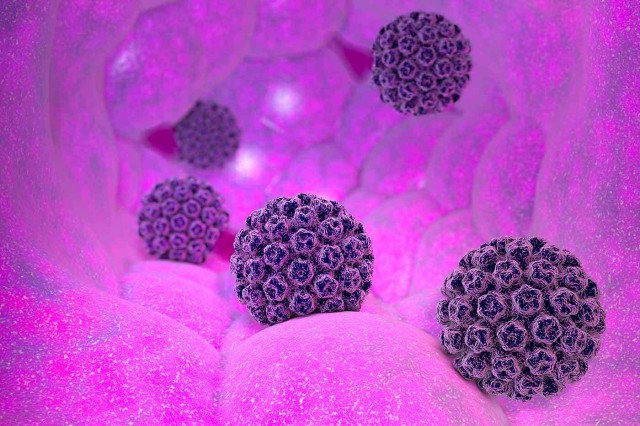 Topul virusurilor care pot cauza cancer
