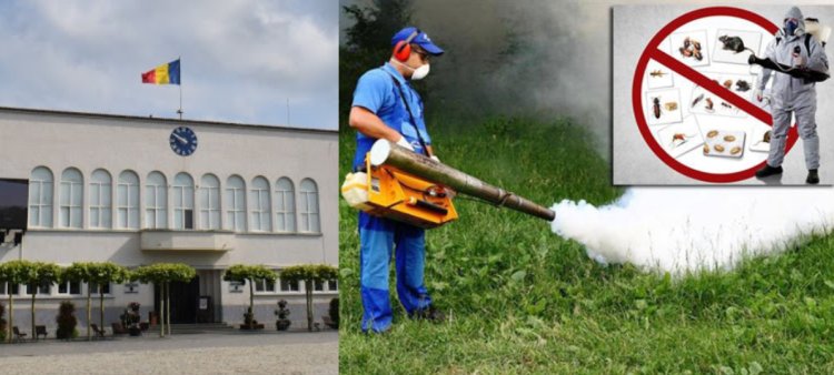 Primăria CERNAVODĂ caută FIRMĂ pentru DEZINSECȚIE și DERATIZARE