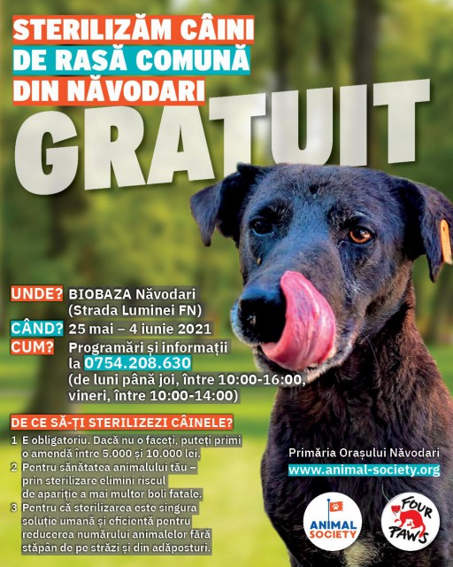 Primăria Năvodari și Animal Society, campanie de sterilizare gratuită a animalelor de rasă comună
