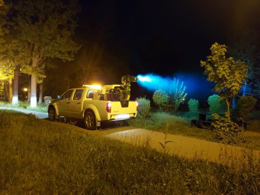 Primăria Medgidia continuă campania de dezinsecţie