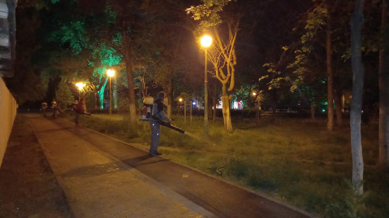 Primăria Constanța a intensificat acțiunile de dezinsecție în oraș Primăria Constanța a intensificat acțiunile de dezinsecție în oraș