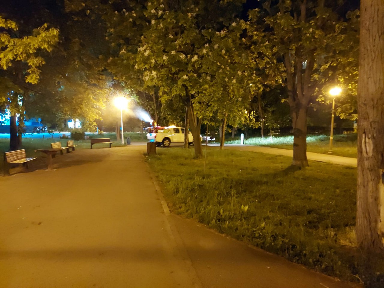 Primăria Constanța a intensificat acțiunile de dezinsecție în oraș Primăria Constanța a intensificat acțiunile de dezinsecție în oraș