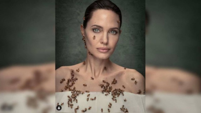 Cum a ajuns Angelina Jolie „nașa albinelor”. Vedeta s-a lăsat filmată în timp ce era acoperită de insecte