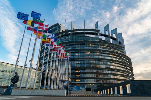 Parlamentul European face apel la statele membre să garanteze dreptul femeilor la avort
